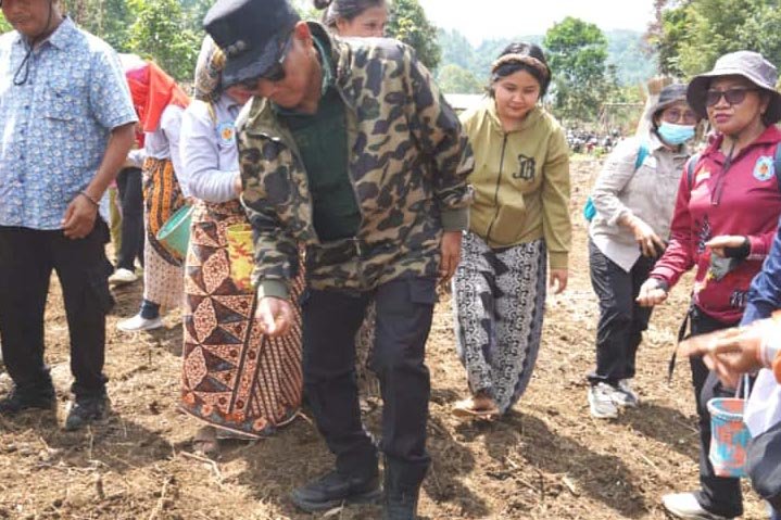 Perkuat Ketahanan Pangan, Bupati Mura Laksanakan Tanam Padi Gogo