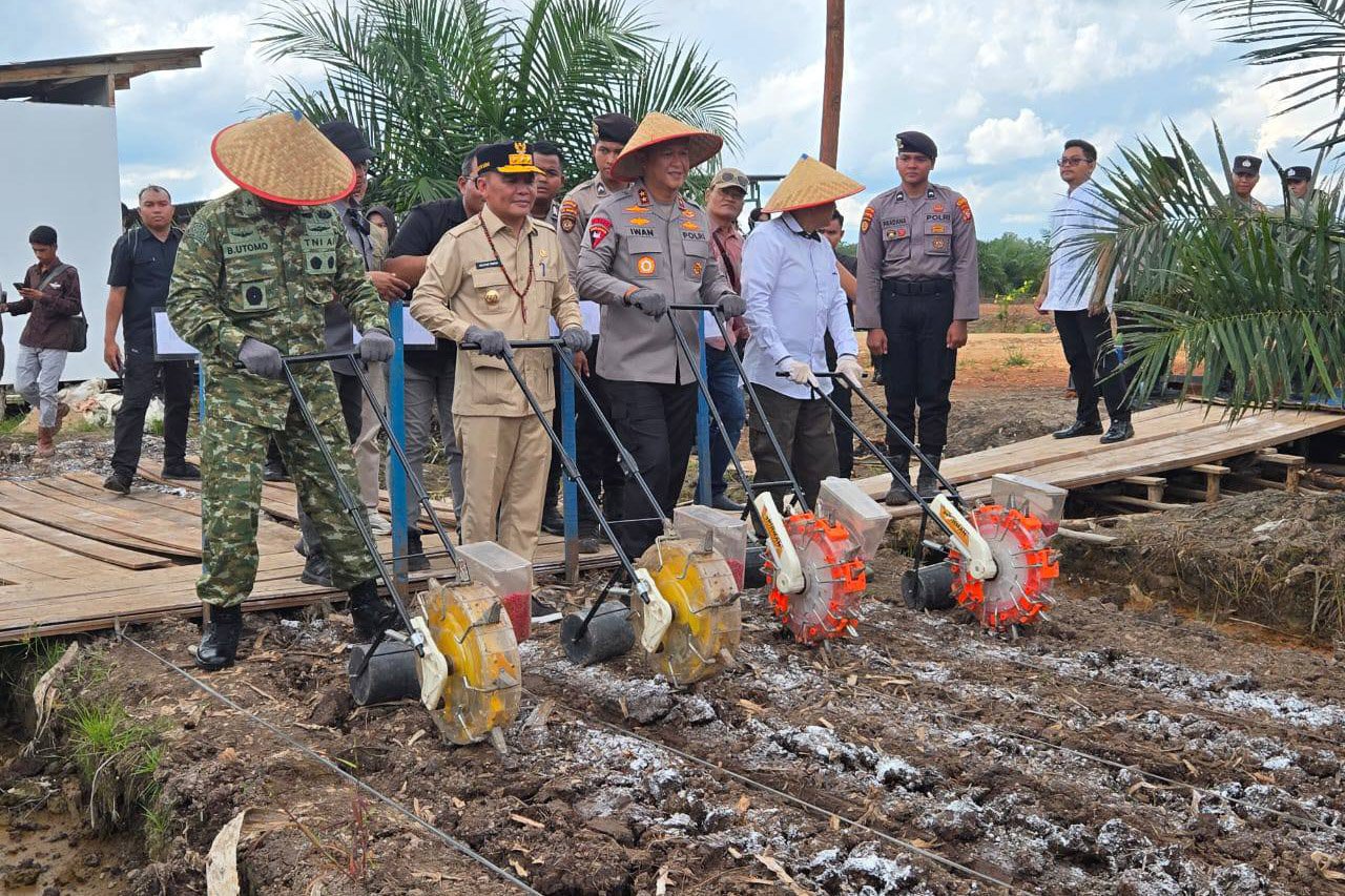 Gubernur Kalteng Hadiri Tanam Jagung Serentak Secara Virtual di Pulang Pisau