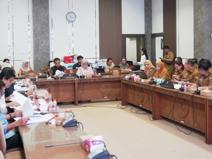 Pansus DPRD dan Pemprov Kalteng Laksanakan Rapat Perkuat Sinkronisasi Raperda Penanaman Modal dan PTSP