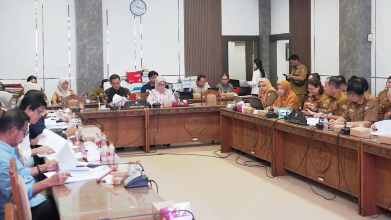 Pansus DPRD dan Pemprov Kalteng Laksanakan Rapat Perkuat Sinkronisasi Raperda Penanaman Modal dan PTSP