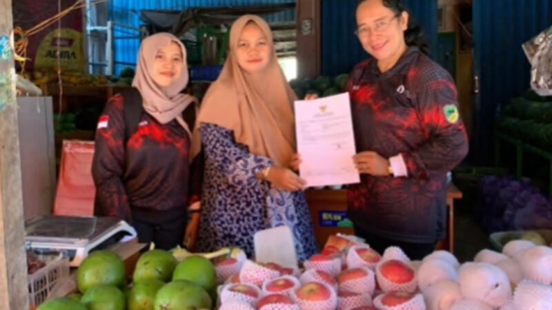 Tingkatkan Legalitas Usaha, DKPP dan DPMPTSP Barito Utara Fasilitasi Pembuatan NIB