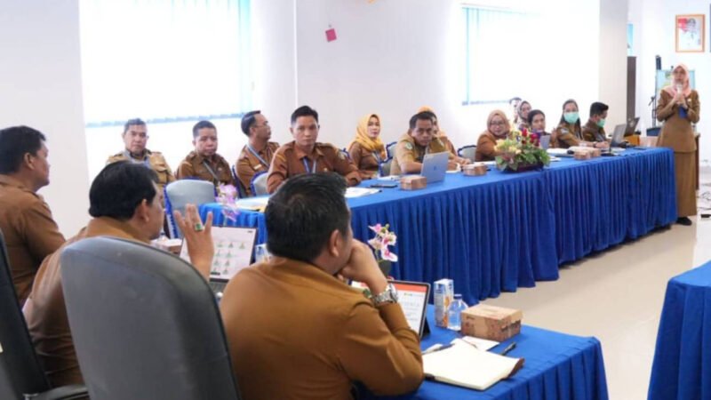 Ikuti Rakor, Bupati Barito Utara Tegaskan Komitmen Pemda Perkuat Sinergi Peningkatan Layanan Kesehatan