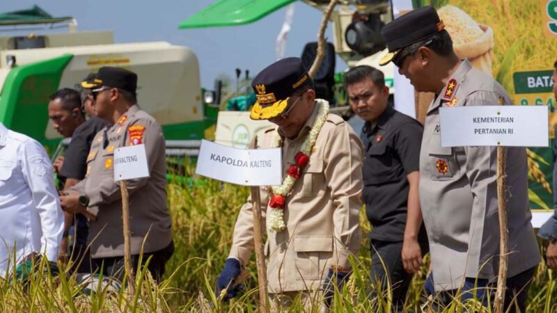 Laksanakan Panen Raya, Gubernur Sampaikan Kapuas Diproyeksikan Jadi Penopang Kebutuhan Pangan Nasional