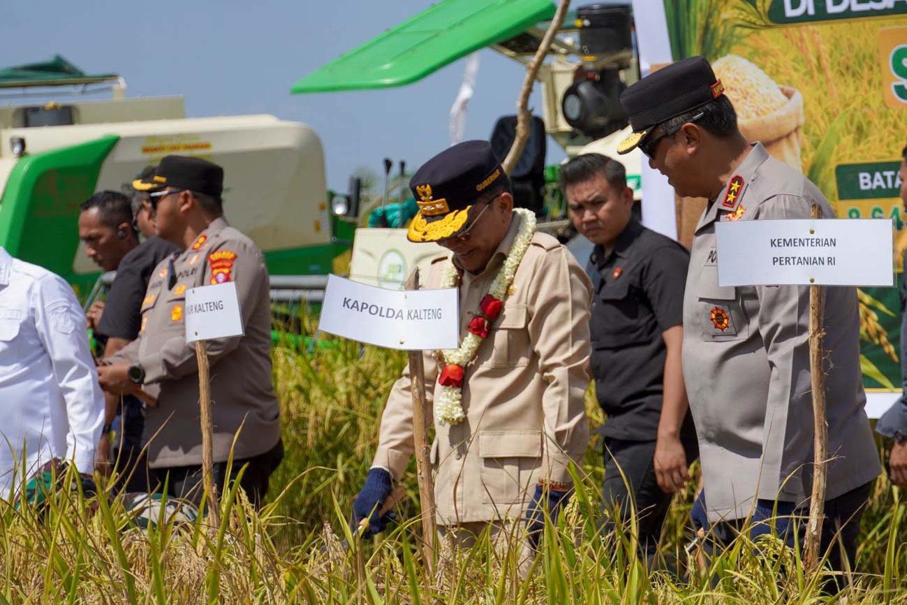 Laksanakan Panen Raya, Gubernur Sampaikan Kapuas Diproyeksikan Jadi Penopang Kebutuhan Pangan Nasional