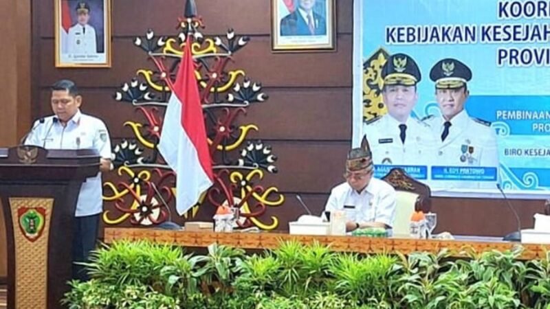 Pemprov Kalteng Perkuat Kelembagaan Kedamangan Melalui Koordinasi dan Sinkronisasi