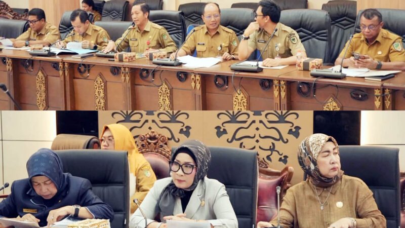 KUA-PPAS 2027 Dibahas, Pemkab dan DPRD Barito Utara Tekankan Anggaran Tepat Sasaran